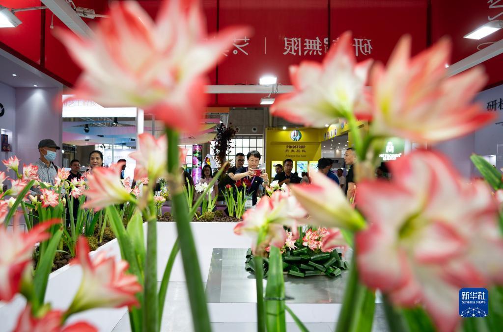 汇丰国际的网址